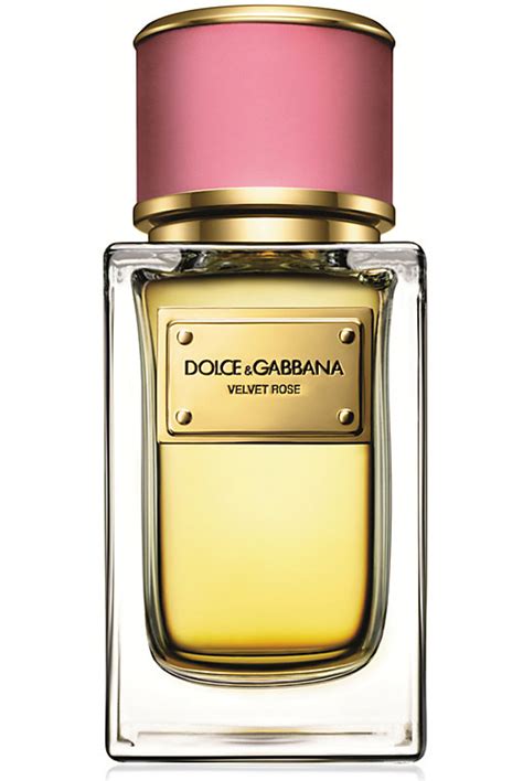 dolce gabbana perfume velvet rose|dolce and gabbana unisex fragrance.